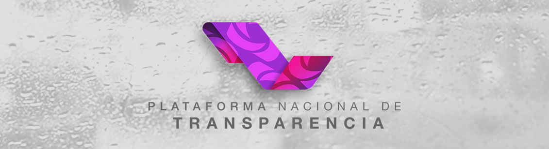 BannerTransparenciaPortal5
