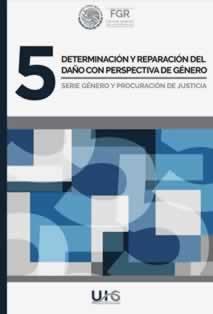 Determinación y reparación del daño con perspectiva de género